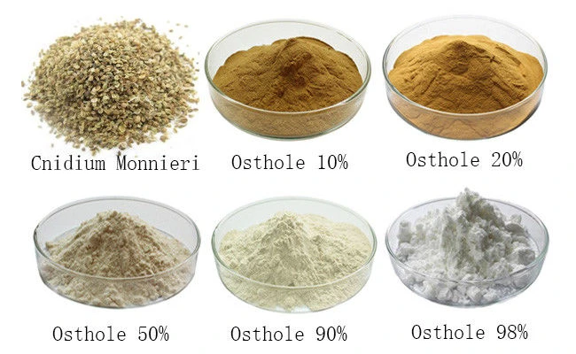 product-650-400 product-650-400