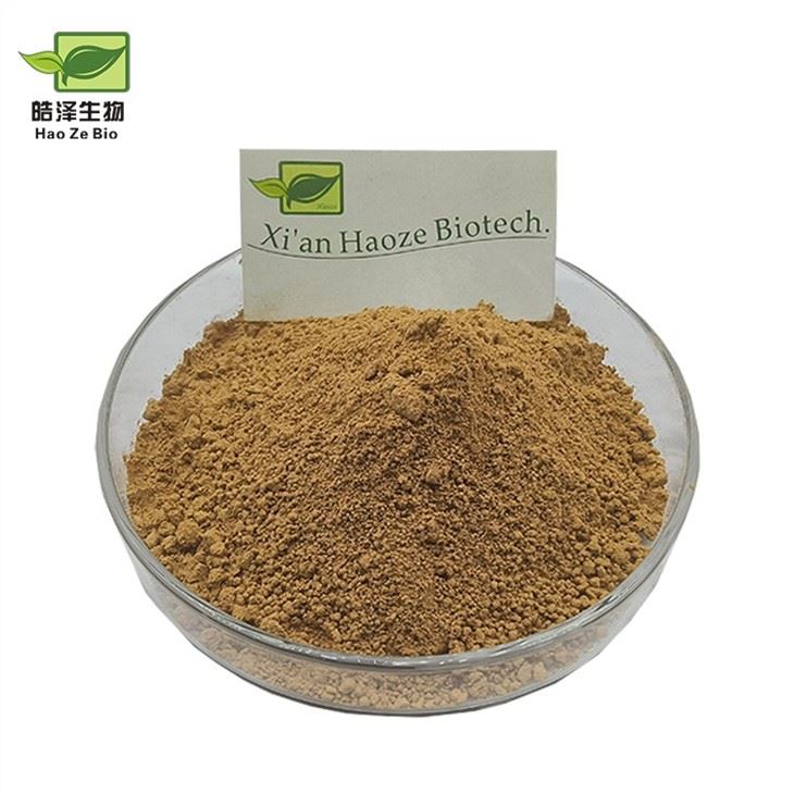 Wormwood Extract Powder